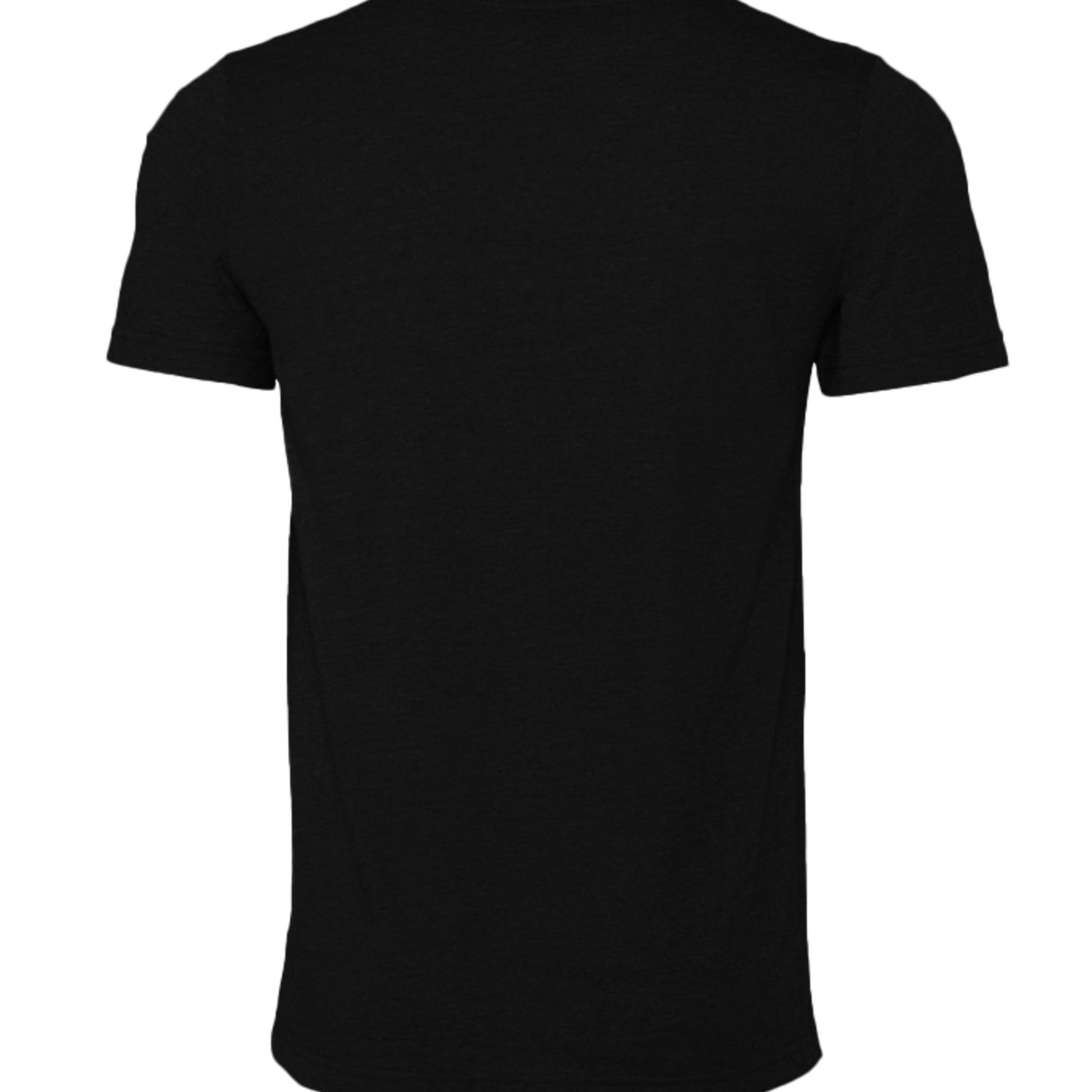 BLACK HEATHER - 3001CVC - BACK