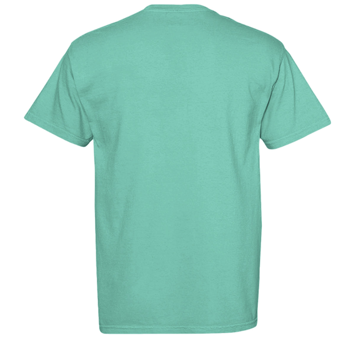 CHALKY MINT - C1717 - BACK