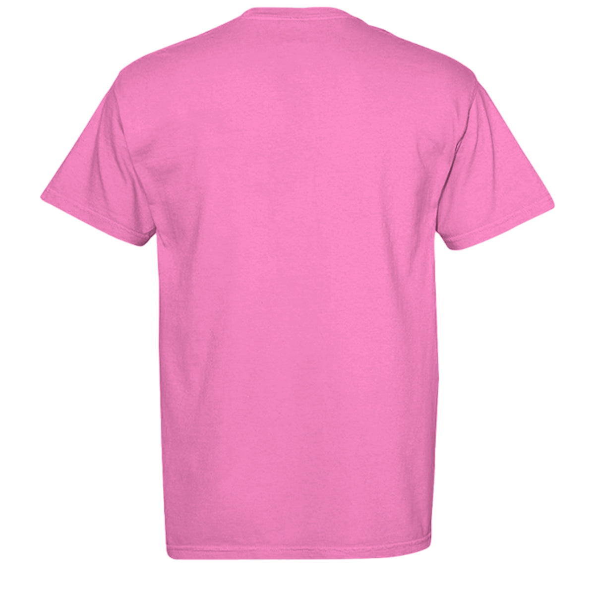 NEON PINK - C1717 - BACK