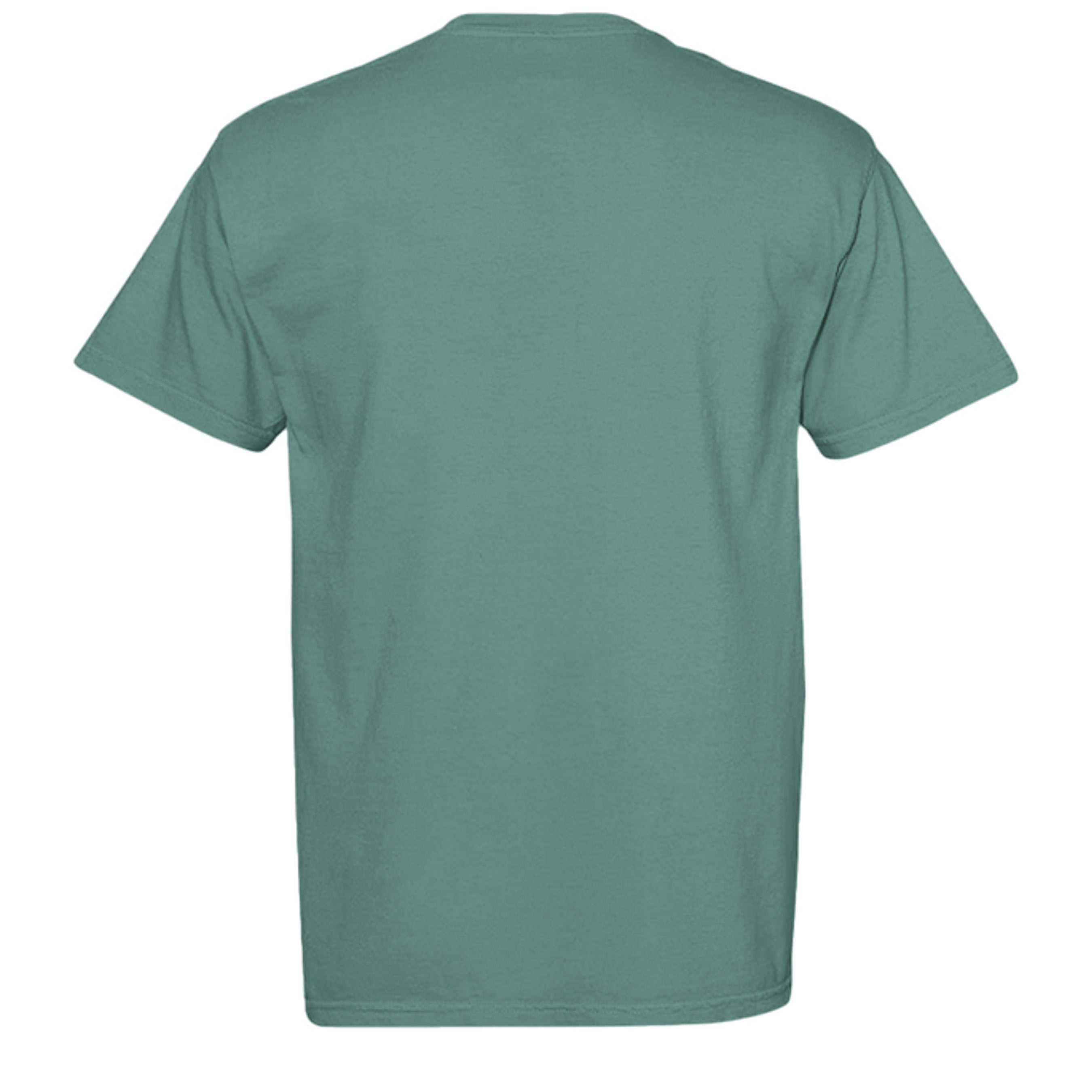 LIGHT GREEN - C1717 - BACK